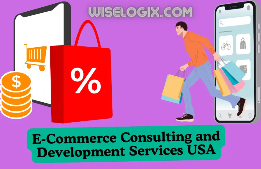 E-Commerce Consulting and Development Services USA